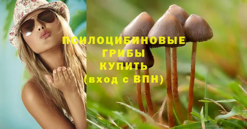 даркнет сайт  Краснослободск  Галлюциногенные грибы Psilocybine cubensis 